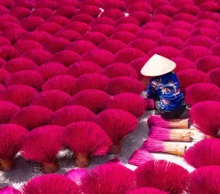 Imagem do tema Exóticos